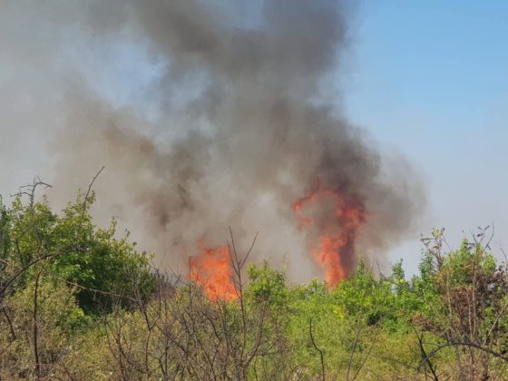 Σουφλί: Σε επιφυλακή οι δυνάμεις της πυροσβεστικής για την νέα φωτιά στα Λαγυνά