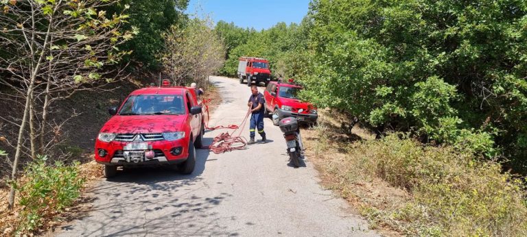 Μεσσηνία: Φωτιά μεταξύ Μερόπης και Οιχαλίας