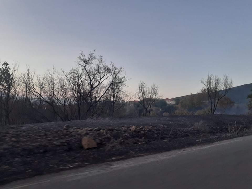 Φωτιά κοντά στο Λεοντάριο Μεγαλόπολης – Βελτιωμένη η εικόνα στα Καλύβια
