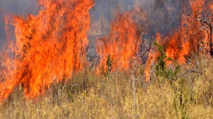 Δράμα: Πυρκαγιά σε δασική έκταση του Κάτω Νευροκοπίου