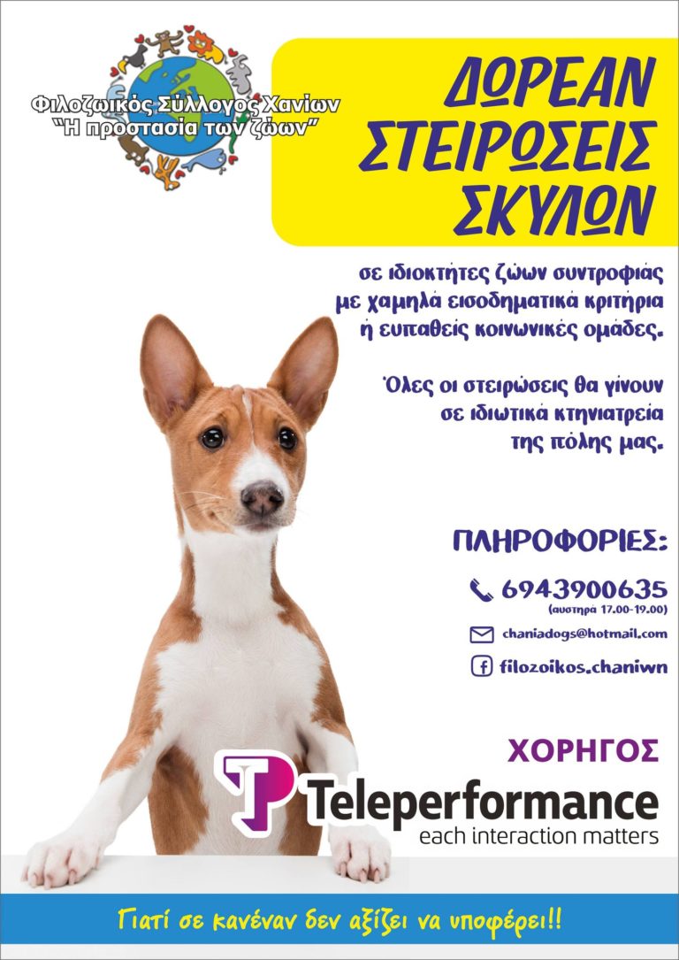 Δωρεάν στειρώσεις από τον Φιλοζωικό Σύλλογο Χανίων “Η Προστασία των Ζώων”