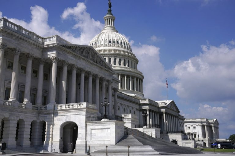 ΗΠΑ: Εγκρίθηκε τροπολογία που ζητεί από το Στέιτ Ντιπάρτμεντ την ένταξη των «Γκρίζων Λύκων» στις τρομοκρατικές οργανώσεις