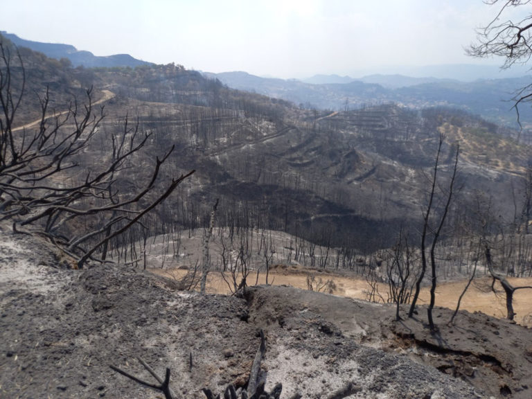 Συγκέντρωση διαμαρτυρίας από πυρόπληκτους Ολυμπίας