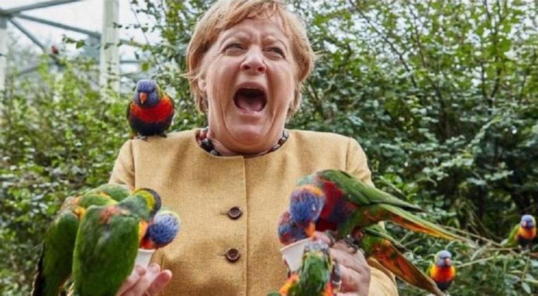 Μέρκελ: Επισκέφθηκε ζωολογικό κήπο – Την δάγκωσε παπαγάλος (φωτογραφίες)