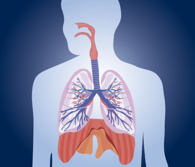 Ενθαρρυντικά τα αποτελέσματα μελετών για τη θεραπεία φλεγμονών του αναπνευστικού με μονοκλωνικά αντισώματα