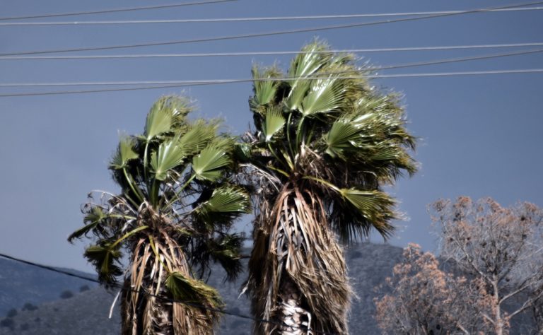Καιρός: Ενισχυμένοι Βοριάδες στο Αιγαίο και στην ανατολική ηπειρωτική χώρα – Προειδοποίηση για κίνδυνο πυρκαγιών