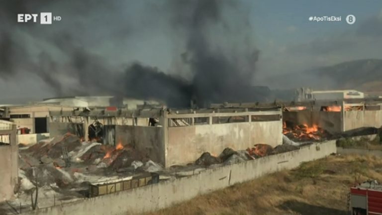 Ασπρόπυργος: Φωτιά σε εργοστάσιο ξυλείας  – Μάχη να μην επεκταθεί σε παρακείμενη βιομηχανία χρωμάτων