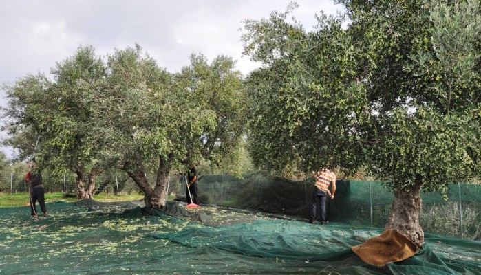 Παράσταση διαμαρτυρίας των αγροτών στην Αντιπεριφέρεια Χανίων