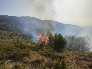 Εορδαία: Υπό έλεγχο η φωτιά στο Μεσόβουνο