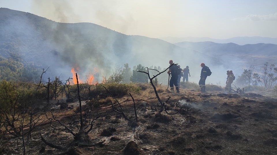 Εορδαία: Υπό έλεγχο η φωτιά στο Μεσόβουνο