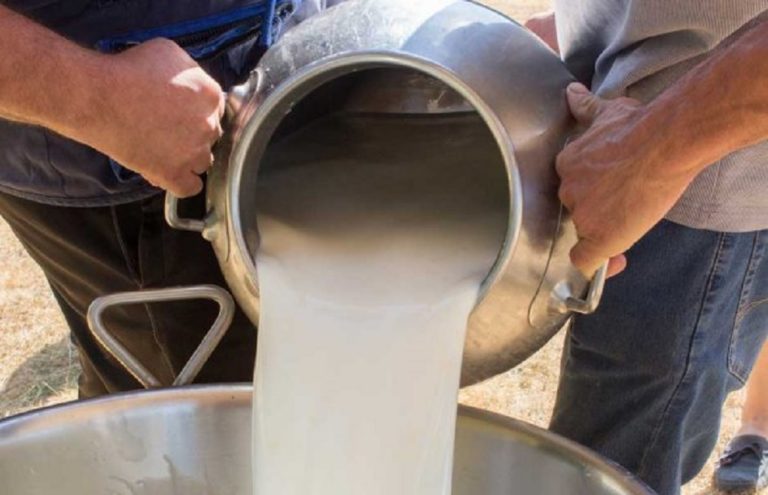 Ήπειρος: Το κόστος ζωοτροφών βάζει φωτιά στις τιμές γάλακτος