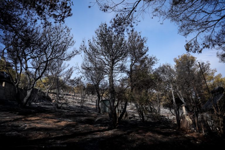 Υπό πλήρη έλεγχο η πυρκαγιά στη Νέα Μάκρη – Ενδείξεις εμπρησμού: «Η περιοχή είναι στόχος»