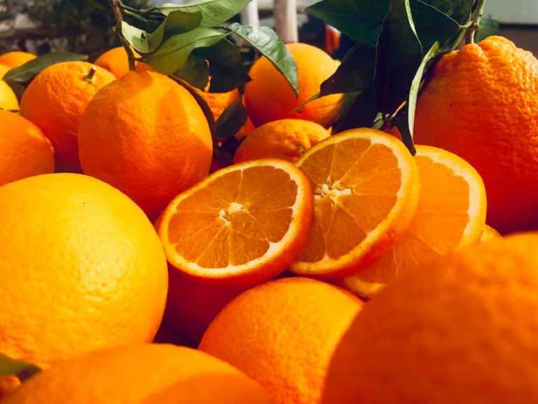 ΕΛΓΟ-ΔΗΜΗΤΡΑ: Αφαίρεση βιολογικού σήματος από γεωργική επιχείρηση παραγωγής πορτοκαλιών