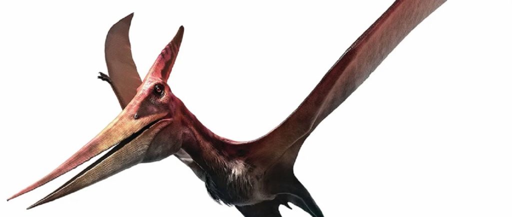 Τα απολιθωμένα λείψανα ενός πτερόσαυρου ανακαλύφθηκαν στη Xιλή