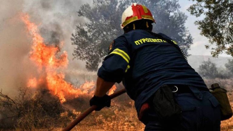 Υπό μερικό έλεγχο η πυρκαγιά σε δασική έκταση στην Κερατέα