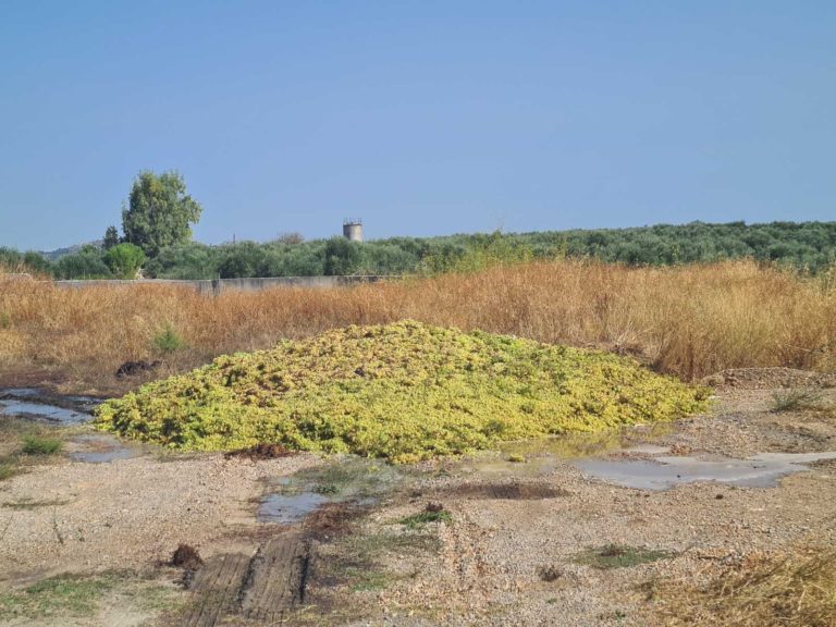 Αμπελουργοί άδειασαν τα φορτία τους έξω από το Οινοποιείο της Ένωσης Ηρακλείου που “φράκαρε”