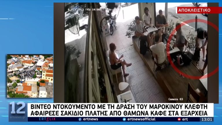 Βίντεο ντοκουμέντο: Κλέφτης αρπάζει σακίδια — Έκανε αγορές με κλεμμένες κάρτες (video)