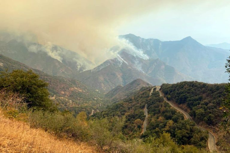 ΗΠΑ – Πυρκαγιές Καλιφόρνια: Πυροσβέστες “τυλίγουν” τις  σεκόγιες στο Γιγάντιο δάσος
