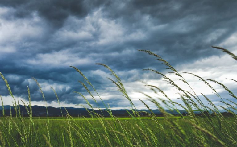 Ο καιρός με τον Π. Γιαννόπουλο: Tην Κυριακή τοπικά ισχυρές καταιγίδες. Δευτέρα,Τρίτη .. “του μικρού Βοριά”(video)