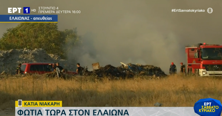 Oριοθετήθηκε η πυρκαγιά σε υπαίθριο χώρο στον Ελαιώνα Αθηνών
