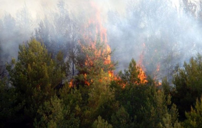 Ισχυρές πυροσβεστικές δυνάμεις επιχειρούν στη φωτιά στο Δήμο Παιονίας Κιλκίς