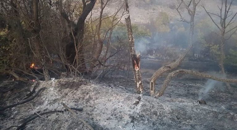 Βελτιωμένη η εικόνα της πυρκαγιάς στα Καλύβια – Η ΕΡΤ Τρίπολης στη φωτιά της δημοτικής ενότητας Φαλαισίας
