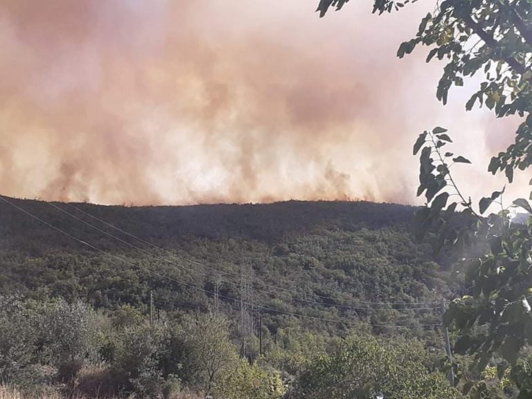 Σε εξέλιξη φωτιά κοντά στο Λεοντάριο Μεγαλόπολης