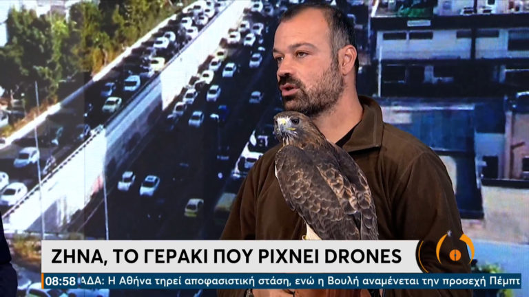 Ζήνα η… πολεμίστρια – Το γεράκι που ρίχνει drones (video)