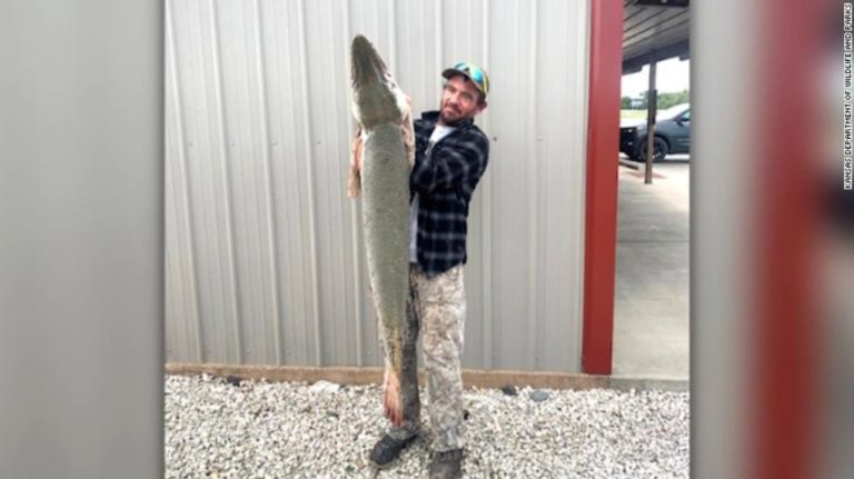 Ένα ψάρι- αλιγάτορας βρέθηκε για πρώτη φορά σε ποταμό του Κάνσας