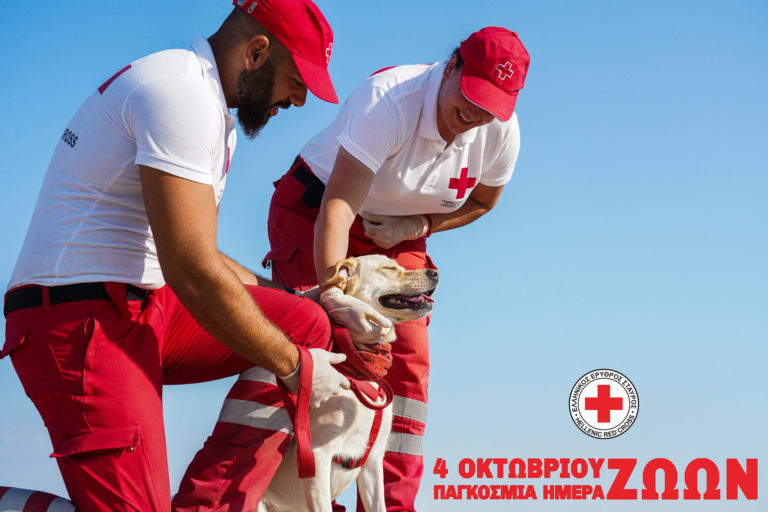 Ο Ελληνικός Ερυθρός Σταυρός στο πλευρό των αδέσποτων ζώων (video)