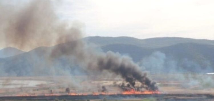 Πρόεδρος Πετρών: “Καταστροφική για το οικοσύστημα της λίμνης η καύση καλαμιών”
