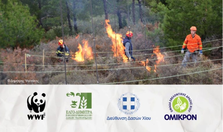 Χίος: Ελεγχόμενη καύση δασικών εκτάσεων για πρόληψη πυρκαγιών