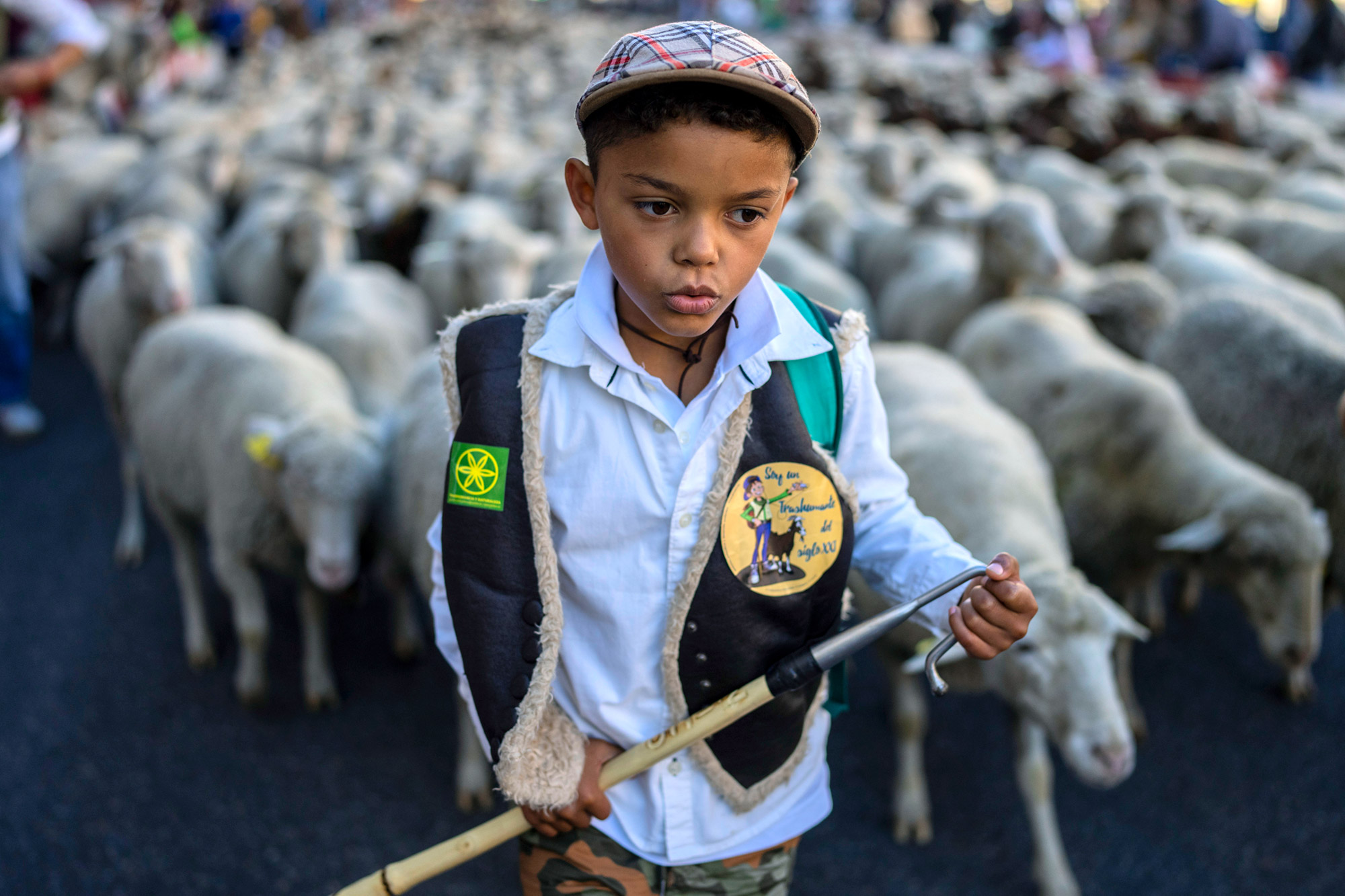 Πρόβατα κατέκλυσαν τη Μαδρίτη στο δρόμο προς τα χειμερινά βοσκοτόπια