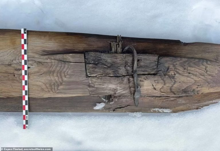 Νορβηγία: Ανακαλύφθηκε το αρχαιότερο ζευγάρι ξύλινων πέδιλων σκι ηλικίας 1.300 ετών
