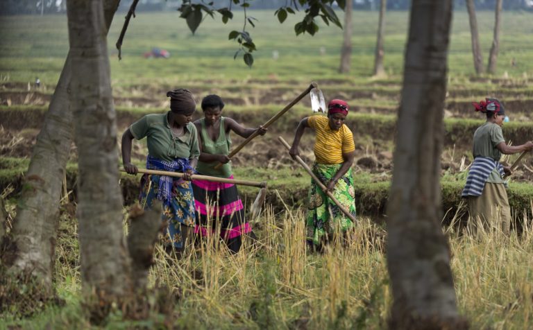 Παγκόσμια Τράπεζα: Η κλιματική αλλαγή θα εκτοπίσει δεκάδες εκατομμύρια κατοίκους της Αν. Αφρικής