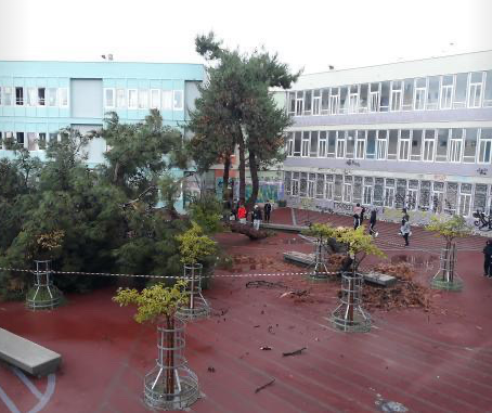 Πτώση δέντρου σε σχολείο της Θεσσαλονίκης – Η εικόνα με την κακοκαιρία στην Κ. Μακεδονία
