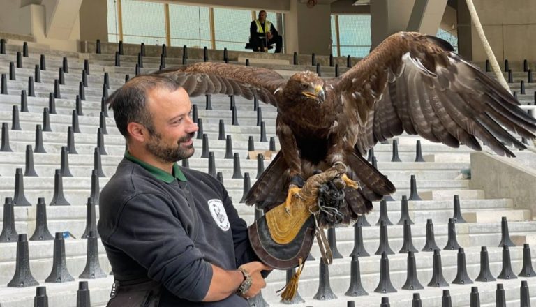 Στα πρότυπα της Μπενφίκα: Ο αετός της ΑΕΚ που θα πετά πάνω από την «Αγιά Σοφιά» (pic)