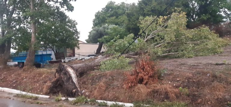 Mεσσηνία: Λίγα τα προβλήματα από το πέρασμα της “Αθηνάς”