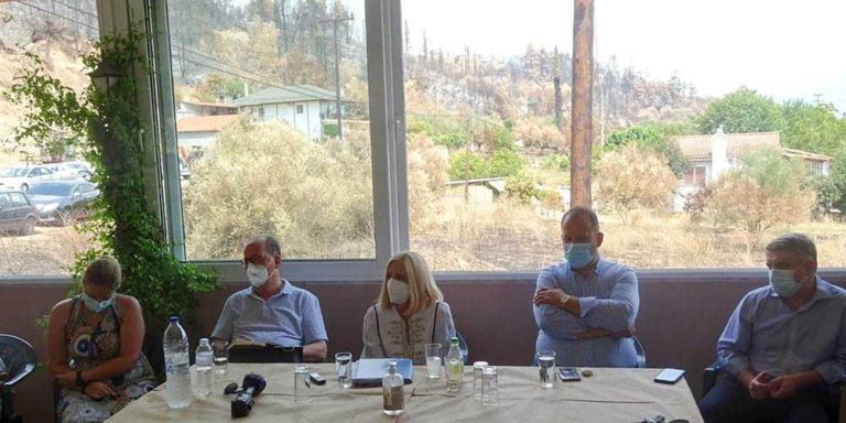 Π. Νίκας: Φωτεινό παράδειγμα στον δημόσιο βίο η Φώφη Γεννηματά