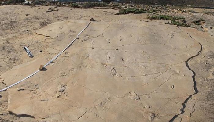 Χανιά: 6,05 εκατ. ετών οι πατημασιές στον Τράχηλο Κισσάμου