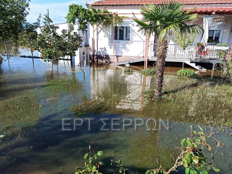 Σέρρες: Υπερχείλισε κανάλι πλημμυρίζοντας σπίτια στα Καλά Δένδρα – Αποκλειστικές εικόνες