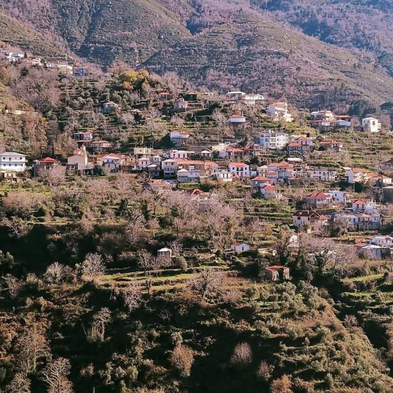 Πρώτος επιμορφωτικός κύκλος της Ορεινής Ακαδημίας Ταϋγέτου