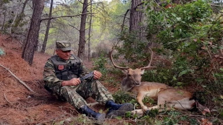 Αρσενικό ελάφι στη Ρόδο δείχνει εμπιστοσύνη στον σωτήρα του