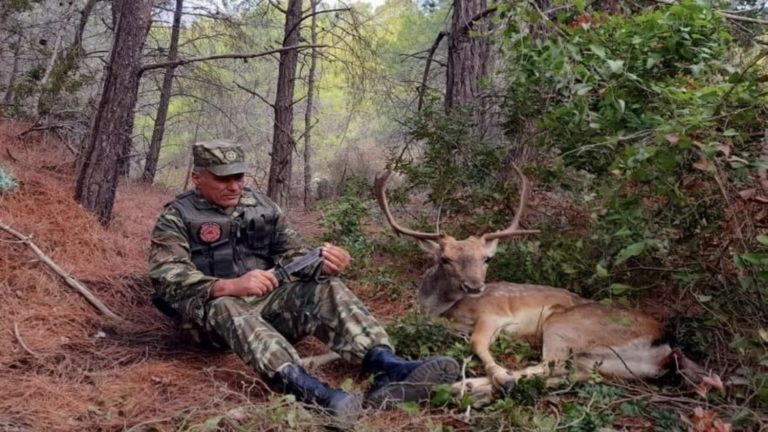 Αρσενικό ελάφι στη Ρόδο δείχνει εμπιστοσύνη στον σωτήρα του