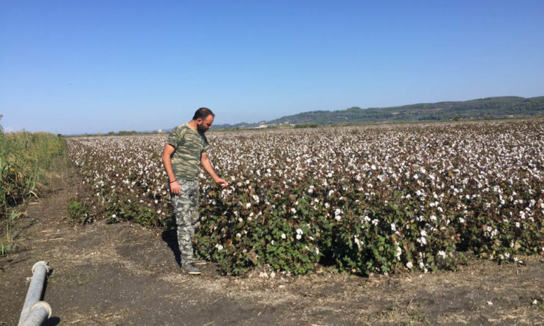 ΥΠΑΑΤ: Μέχρι 31/10 οι αιτήσεις για τη δράση 3.1.2 «Στήριξη για νέα συμμετοχή σε εθνικά συστήματα ποιότητας»