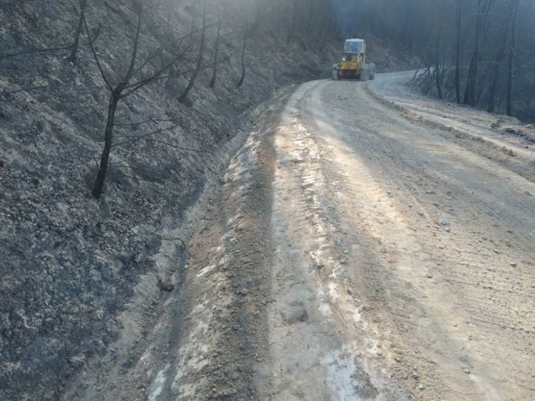 Καθαρισμοί ποταμών και ρεμάτων στην πυρόπληκτη Αρκαδία