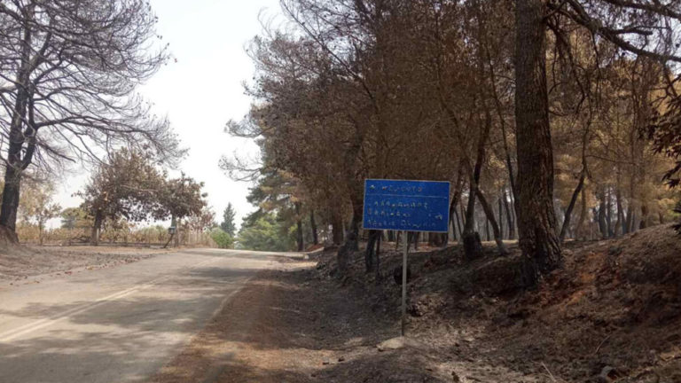 Σε πυρόπληκτες κοινότητες της Ηλείας οι επιτροπές κρατικής αρωγής