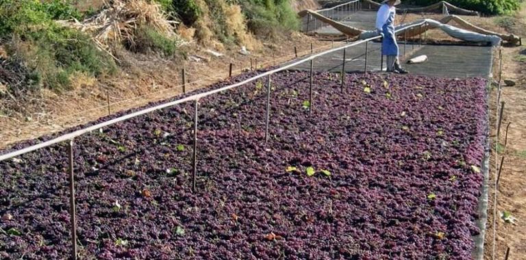 Σύσκεψη για τη σταφίδα- Οι παραγωγοί οι μεγάλοι χαμένοι