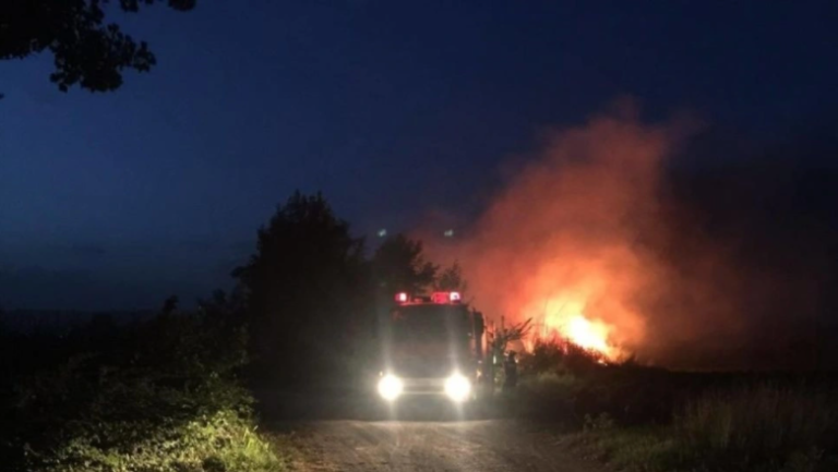 Πυρκαγιά σε σωρό σκουπιδιών στα Διαβατά Θεσσαλονίκης