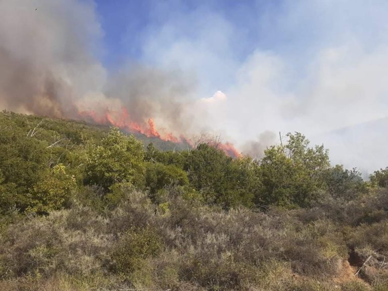 Υπό μερικό έλεγχο η πυρκαγιά σε ορεινή περιοχή της Αργολίδας